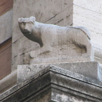 La gatta - clicca per ingrandire